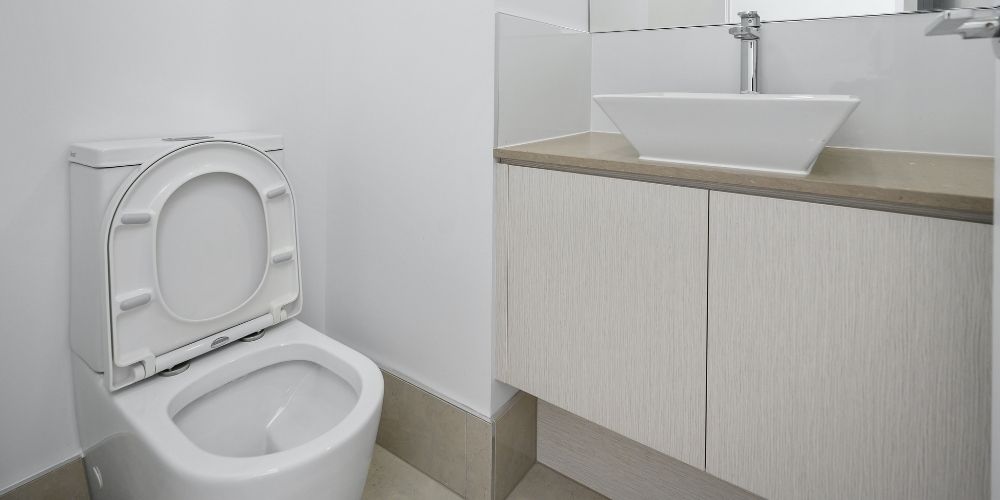 American Standard Champion 4 VS Champion 4 Max Swanky Shelter